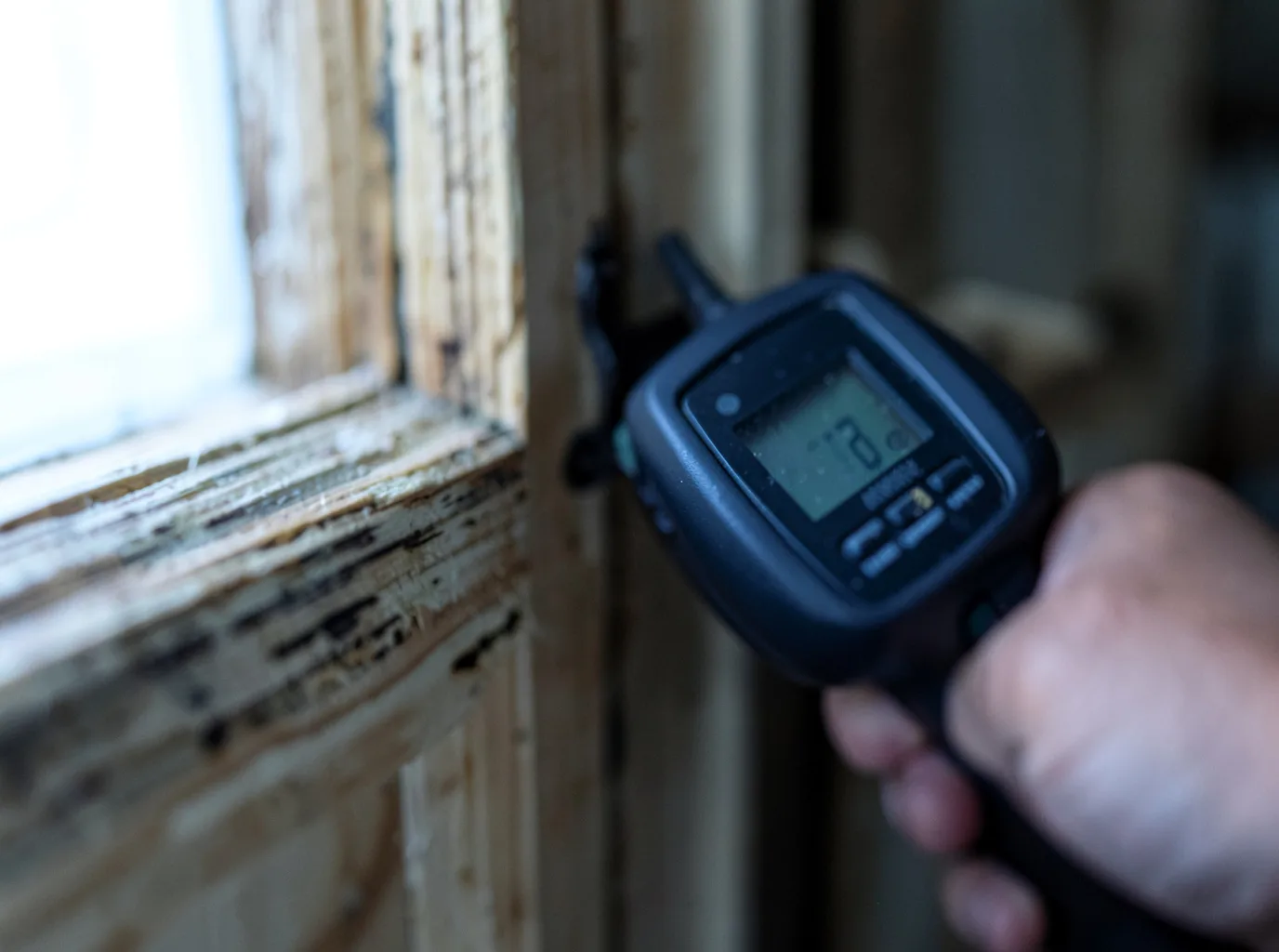 Commercial Water Damage Restoration in Rough And Ready, CA
